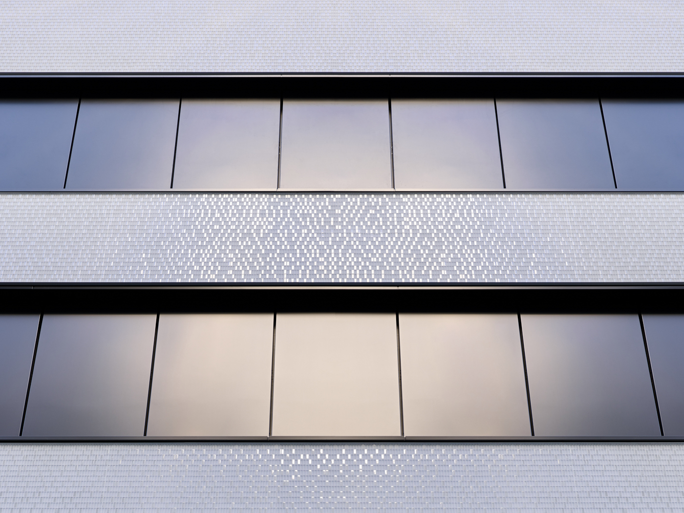 34 LS Roche B41 small YZ