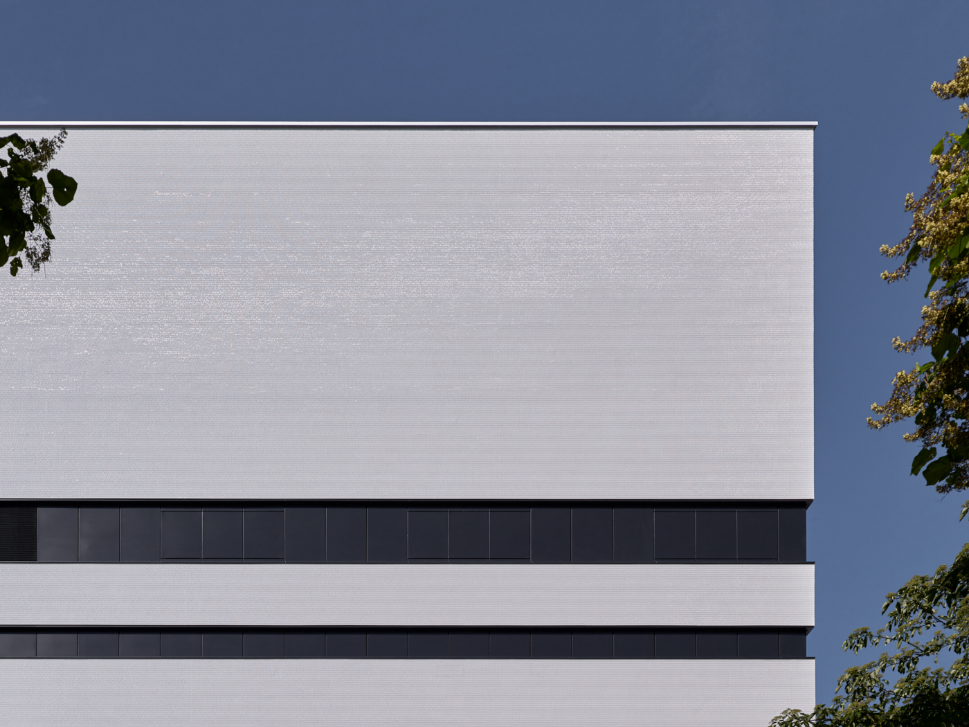 38 LS Roche B41 small YZ